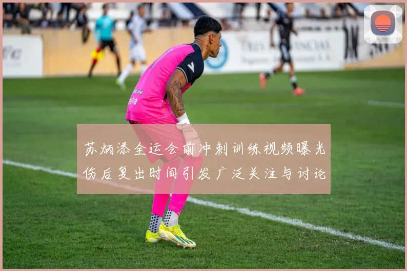 苏炳添全运会前冲刺训练视频曝光伤后复出时间引发广泛关注与讨论